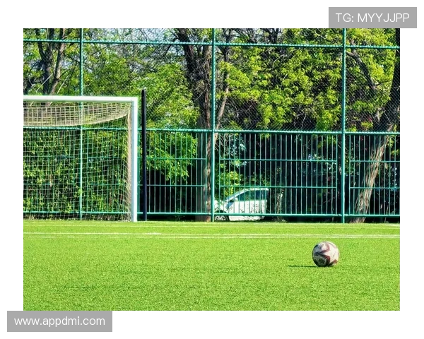 俄罗斯与墨西哥巅峰对决直播：绿茵场上的激情碰撞